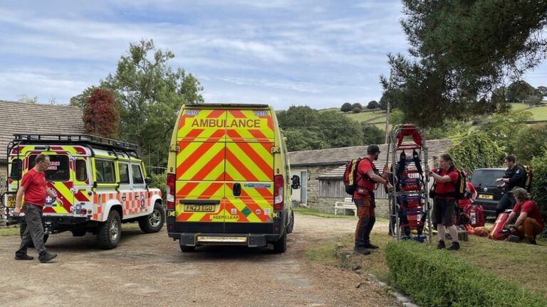 Ambulance Handover